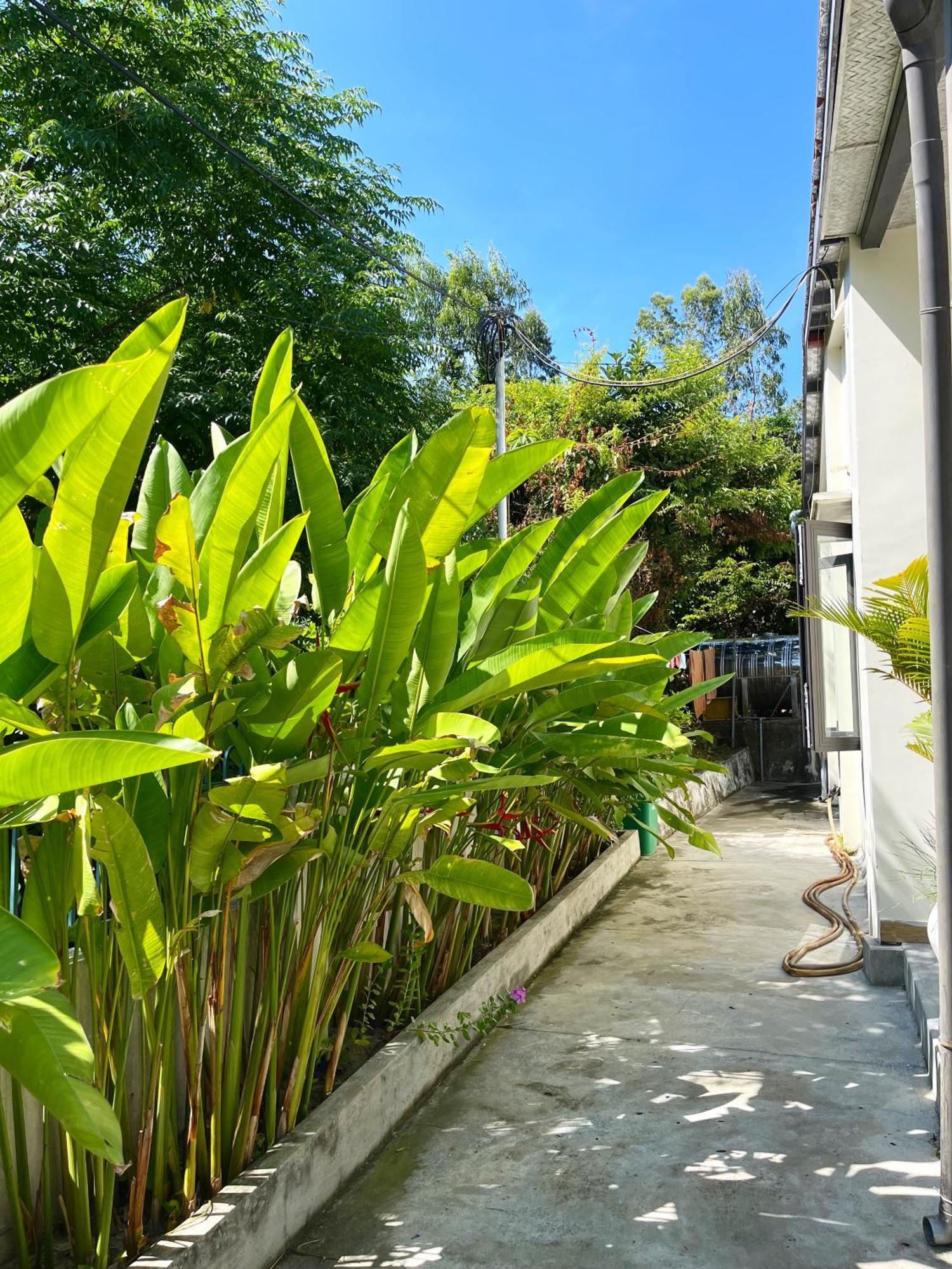 Crest House Beachside - Three-Bedroom Private House On Cham Island Hoi An Tan Hiep  Exterior photo